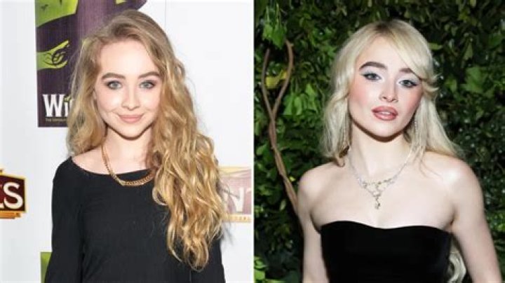 Sabrina Carpenter: Unveiling The Money Behind Her Success
