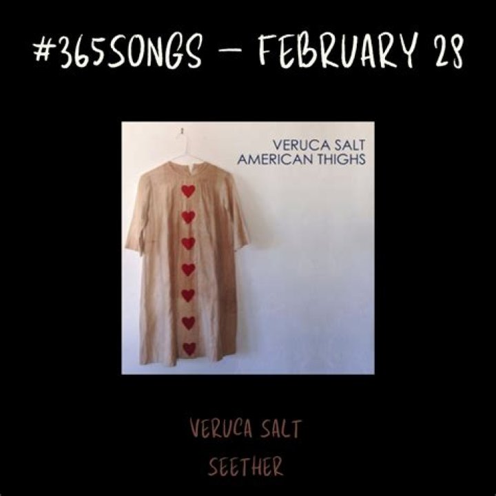 What Does Veruca Salt's "Seether" Really Mean?